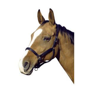 LÄDERGRIMMA NEW ORLEANS