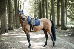 DRESSYRSCHABRAK PEARLS NAVY