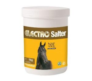 ELECTRO SALTER 1 KG