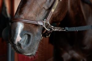 UPPBINDNING SAFETY BLACK