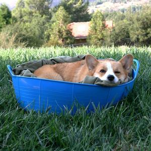 RED GORILLA SHALLOW 35 L SVART