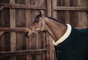 FLEECETÄCKE HEAVY PINE GREEN