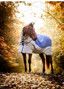 RAMBO AUTUMN SERIES NAVY