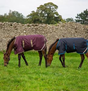 AMIGO FOAL 200 G NAVY