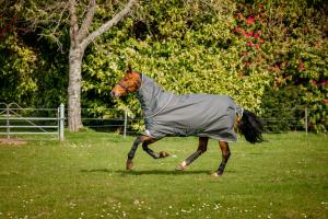 AMIGO BRAVO 12 PLUS 250 G SHADOW