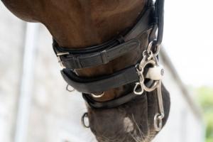 KINDKEDJESKYDD LÄDER BRUNT