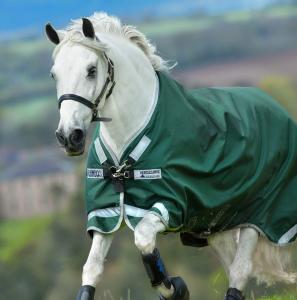 RAMBO TURNOUT 0 G GREEN