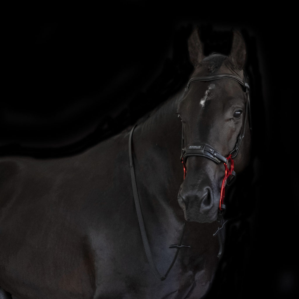 HACKAMORE DARK BROWN/ALUMINIUM