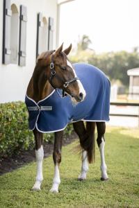 AMIGO JERSEY COOLER NAVY