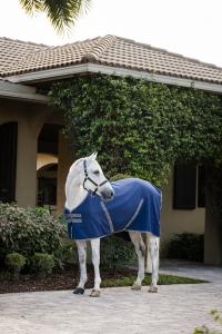 TÄCKE RAMBO STABLE SHEET NAVY