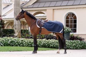 RIDTÄCKE AMIGO EXERCISE NAVY