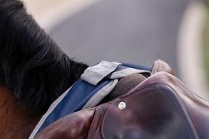 RIDTÄCKE AMIGO EXERCISE NAVY