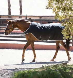 AMIGO WALKER 100 G MEDIUM SVART