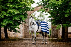 FILT NEWMARKET FLEECE NAVY