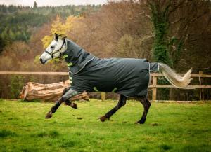 AMIGO HERO RIPSTOP PLUS 100 G SHADOW