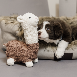 HUNDLEKSAK ALPACA ALFREDO