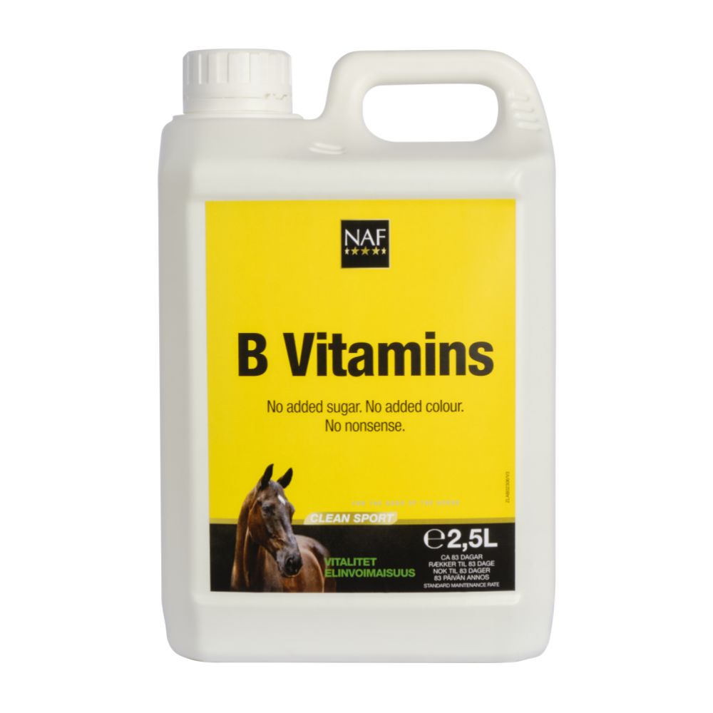 B VITAMIN 2,5 L