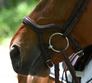 PRECISION TRÄNS MED Y-NOSGRIMMA