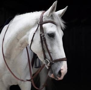 ORGIN TRÄNS MED REMONTNOSGRIMMA