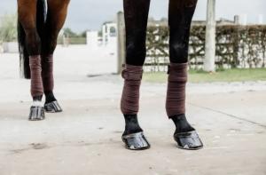 FLEECE BANDAGE PEARLS BROWN