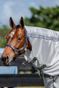 FLUGTÄCKE AMIGO BUG RUG PLUS SILVER