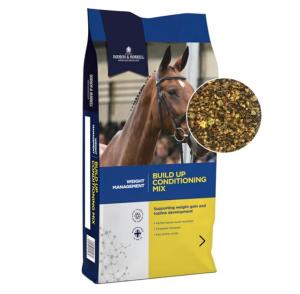 BUILD UP MIX 20 KG