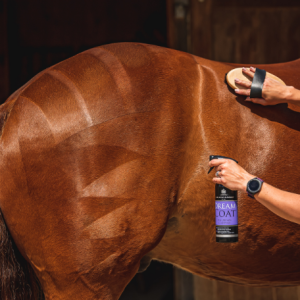 PÄLSGLANS CANTER DREAMCOAT 1L