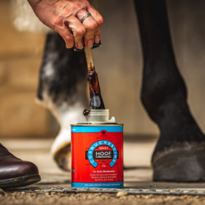DAILY HOOF DRESSING