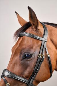 TRÄNS ANATOMISK BRED NOSGRIMMA SVART