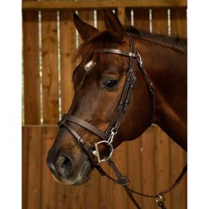 TRÄNS SLÄT NOSGRIMMA BRUN