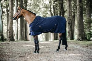 STALLTÄCKE COTTON NAVY