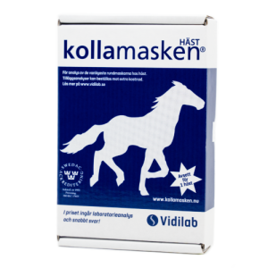 KOLLA MASKEN HÄST
