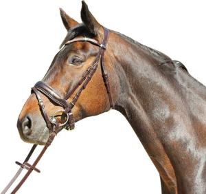 TRÄNS VERSAILLES LACKAD NOSGRIMMA BRUNT