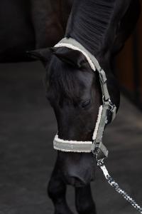 GRIMMA DENIM DOUBLEPIN TEDDY OLIVE