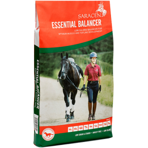 ESSENTIAL BALANCER