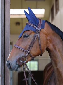 WELLINGTON SOUNDLESS NAVY