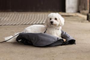 HUNDVÄSKA KLMACEY GREY