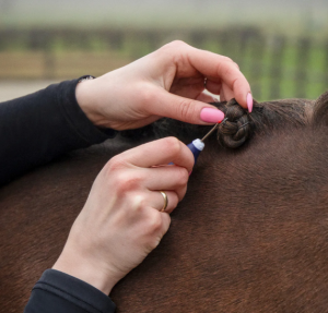 FLÄTBORTTAGARE BLÅ