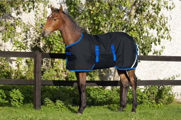 UTETÄCKE FOAL AMIGO 50 G NAVY