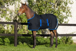 UTETÄCKE FOAL AMIGO 50 G NAVY