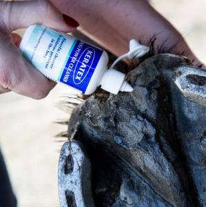 FROG POWER CLEANSER 50 ML