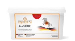 GASTRIC PELLETS 6 KG