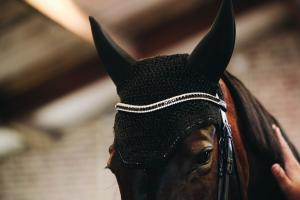 FLUGHUVA WELLINGTON SPRAKLING FULL NAVY