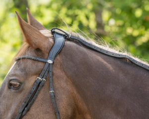 GRÄSTYGEL DAISY SVART