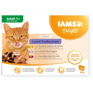 DELIGHT GRAVY LAND 12-PACK