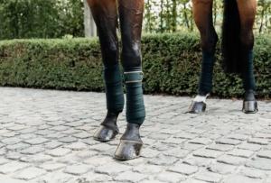 FLEECE BANDAGE POLAR PINE GREEN