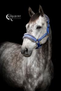 GRIMMA UNIQUE ROYALBLÅ