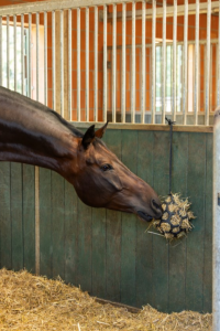 LEKBOLL FLEX SMALL BLACK