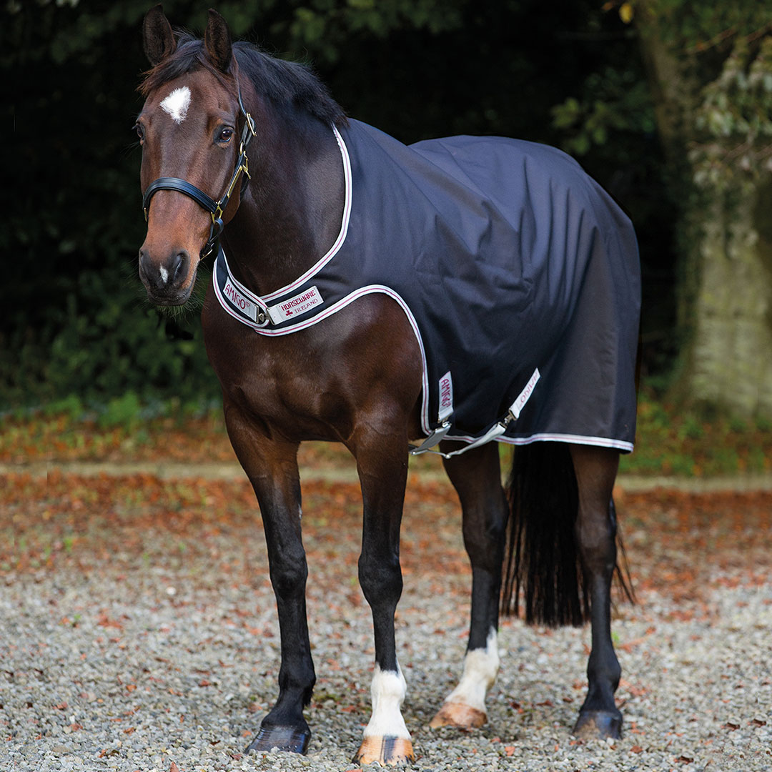 AMIGO WALKER 100 G NAVY