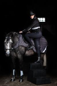 AMIGO REFLECHTECH COMPETITION SHEET